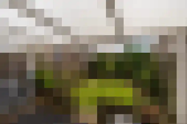 Osbornezijde 2 Zoetermeer thumbnail 27
