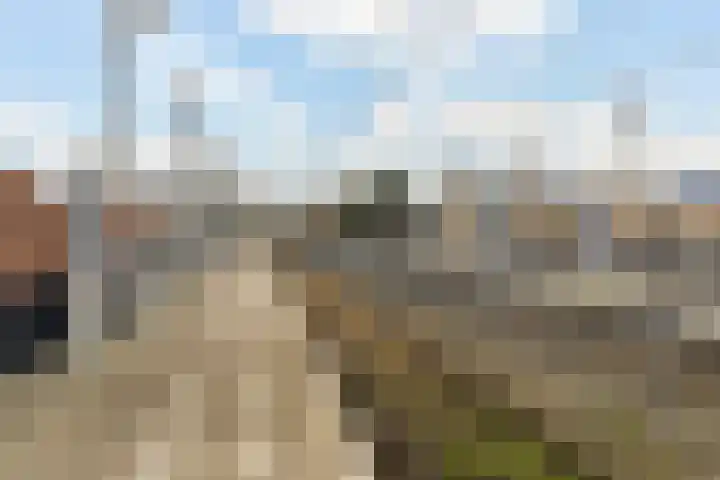 Osbornezijde 2 Zoetermeer thumbnail 34