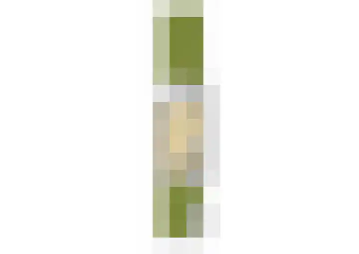 Osbornezijde 2 Zoetermeer thumbnail 37