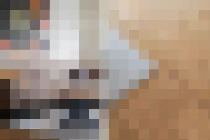 Osbornezijde 2 Zoetermeer thumbnail 9