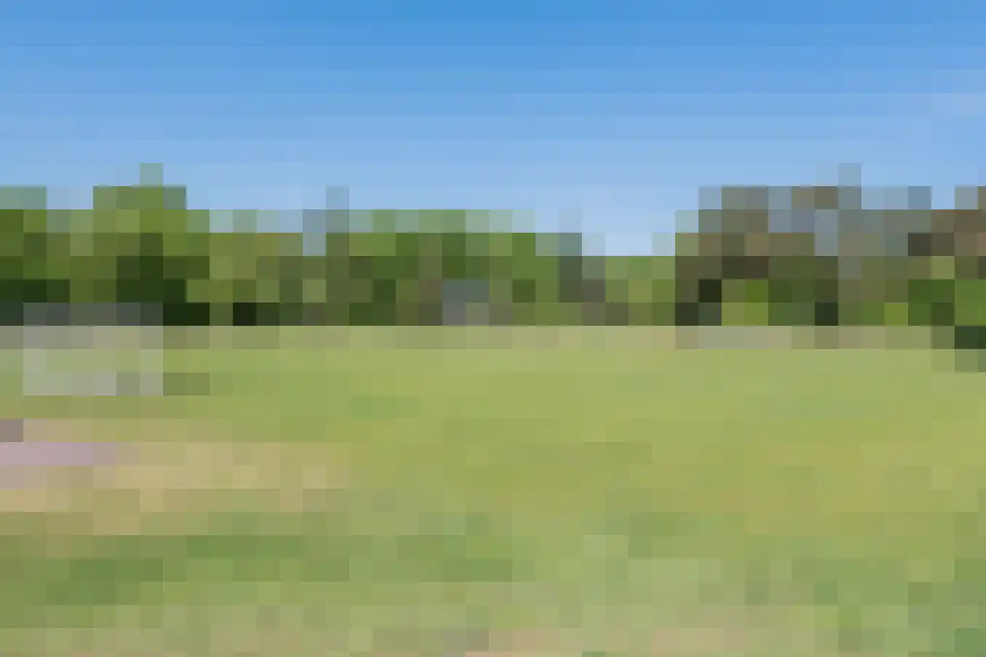 Oshaarseweg 24 165 Echten thumbnail 28