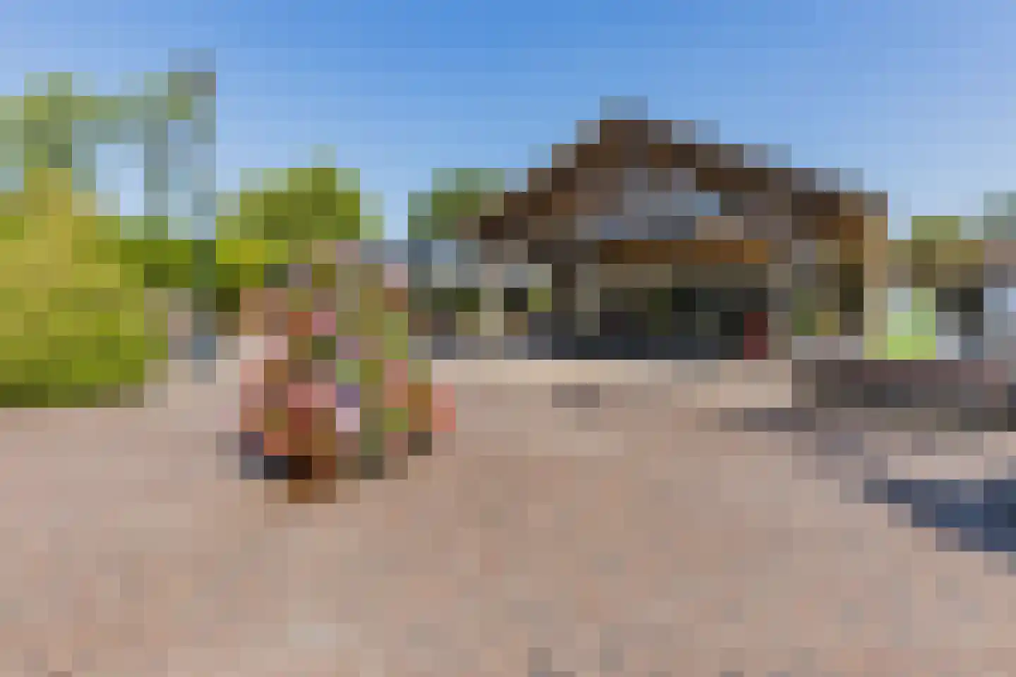 Oshaarseweg 24 165 Echten thumbnail 29