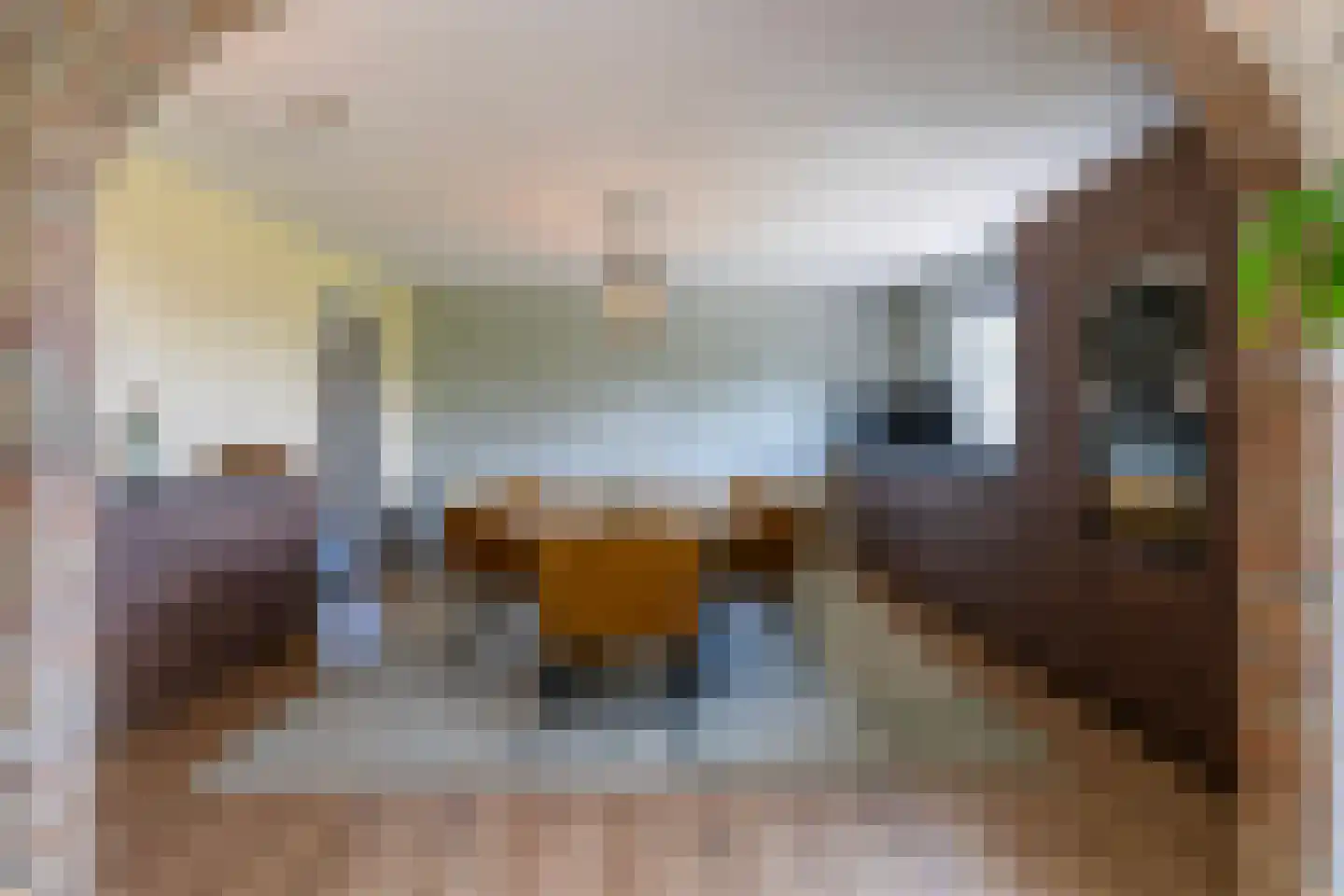 Osingahuzen 3 Heeg thumbnail 11