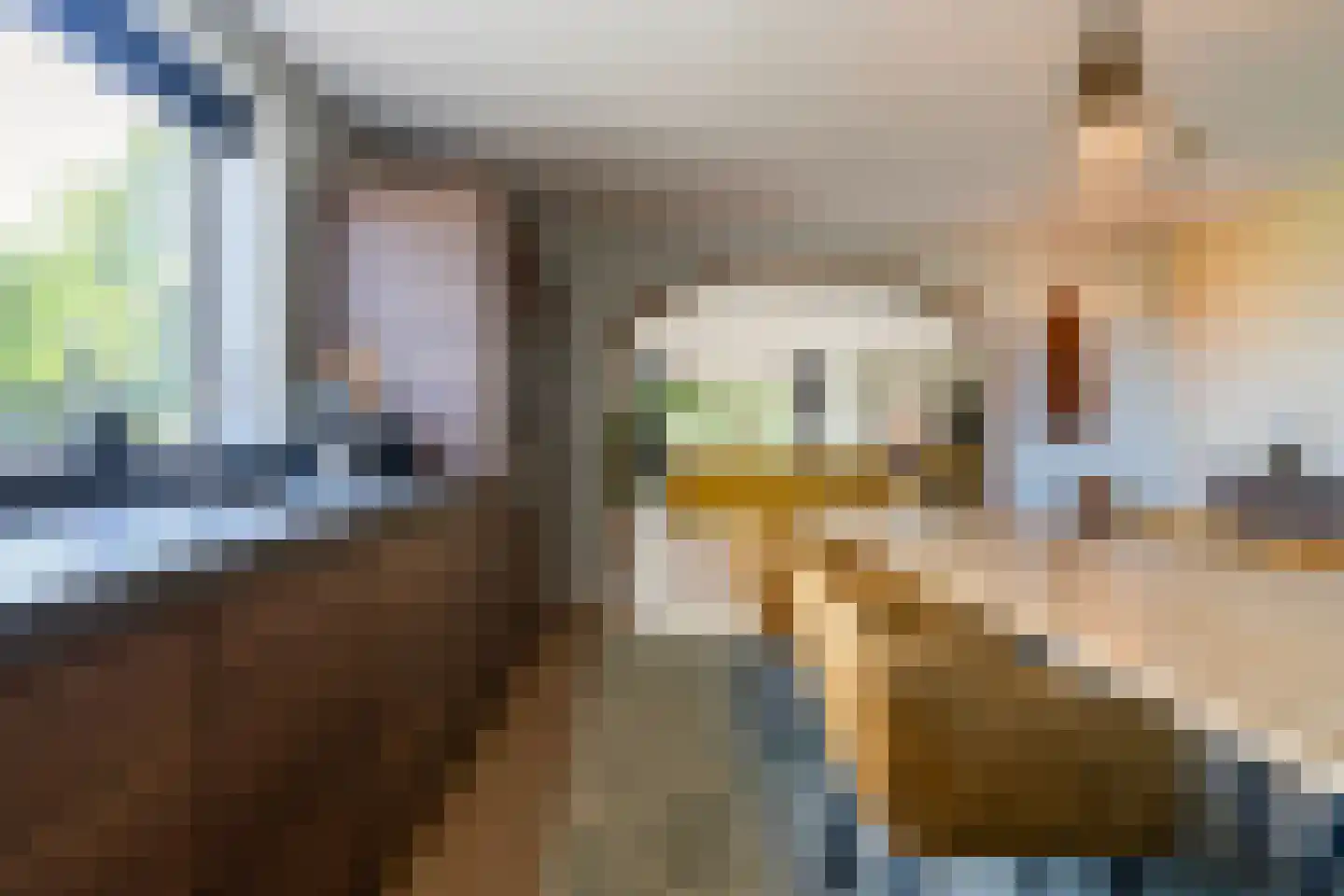 Osingahuzen 3 Heeg thumbnail 12