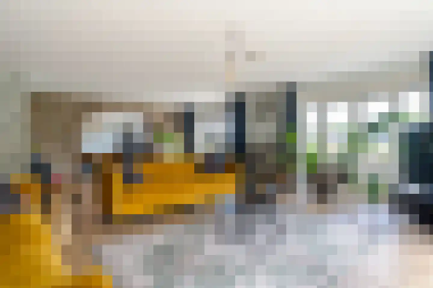 Osingahuzen 3 Heeg thumbnail 14