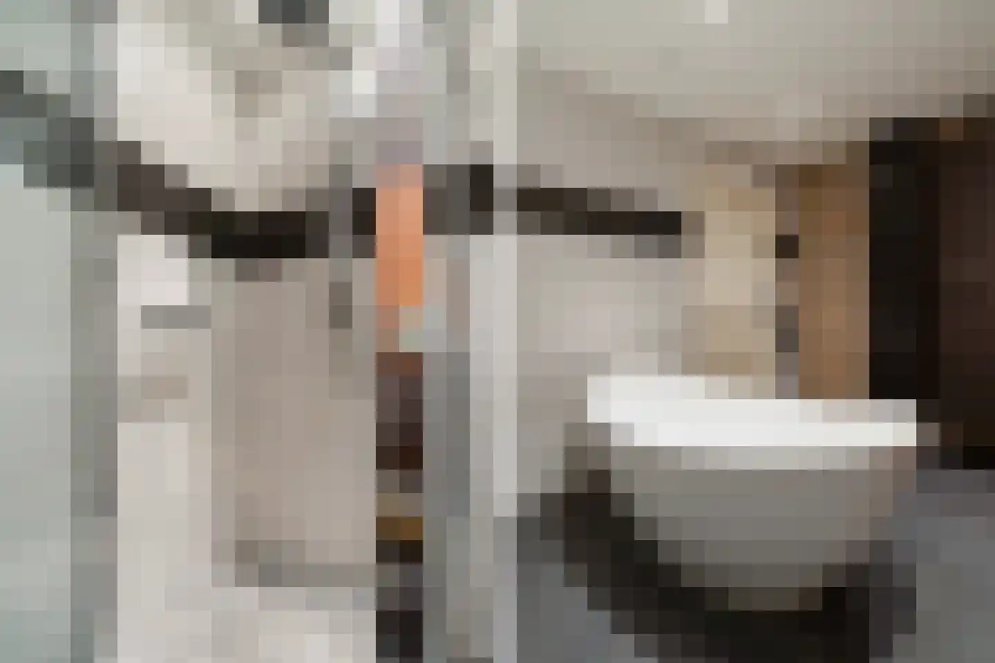 Osingahuzen 3 Heeg thumbnail 18