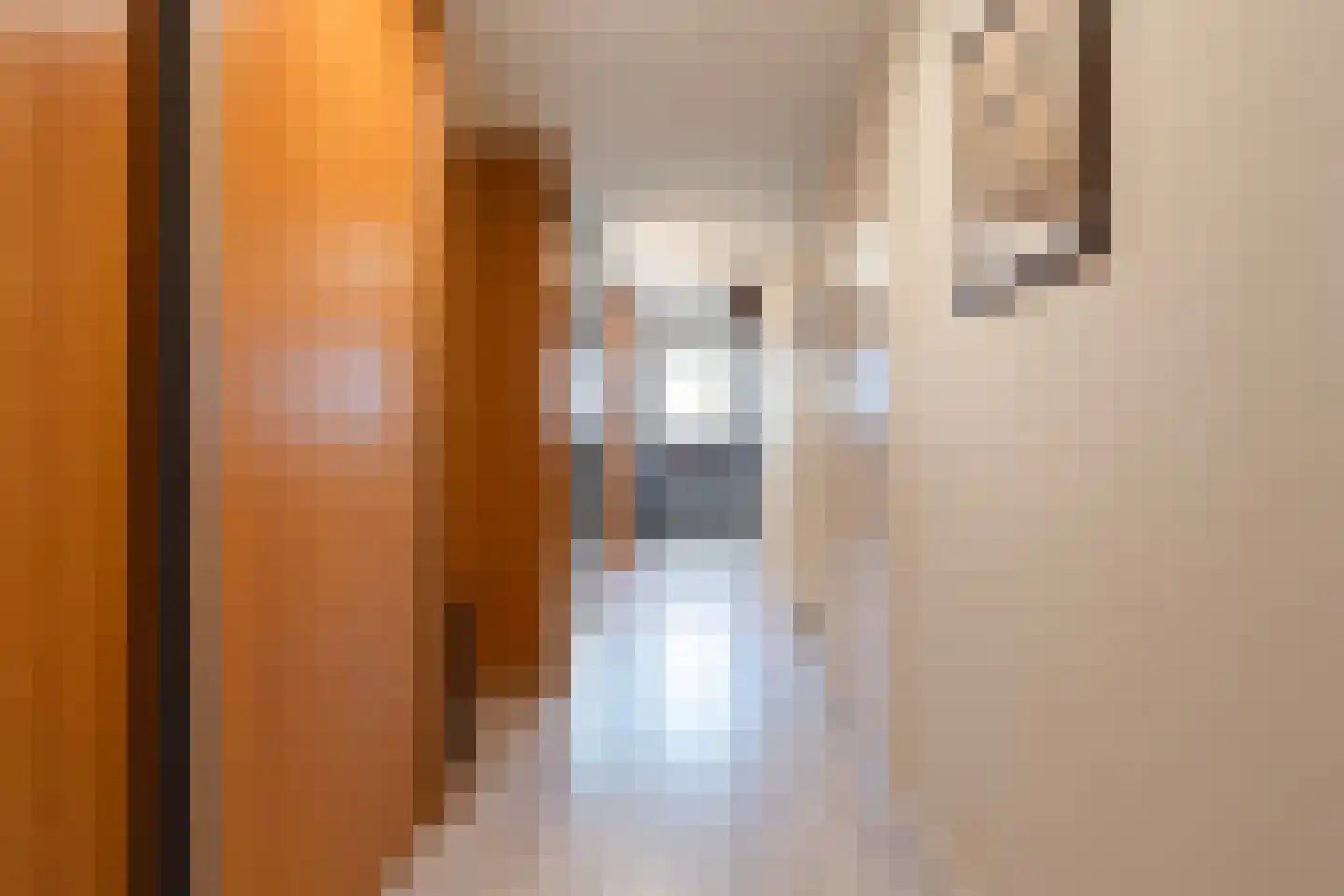 Osingahuzen 3 Heeg thumbnail 19
