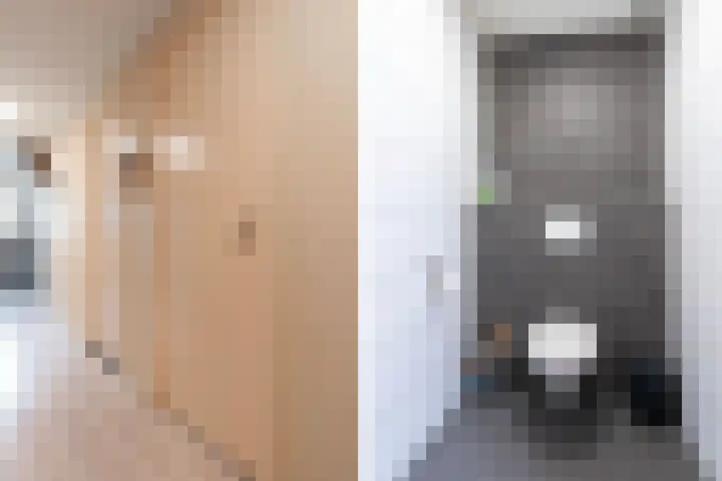 Osingahuzen 3 Heeg thumbnail 20