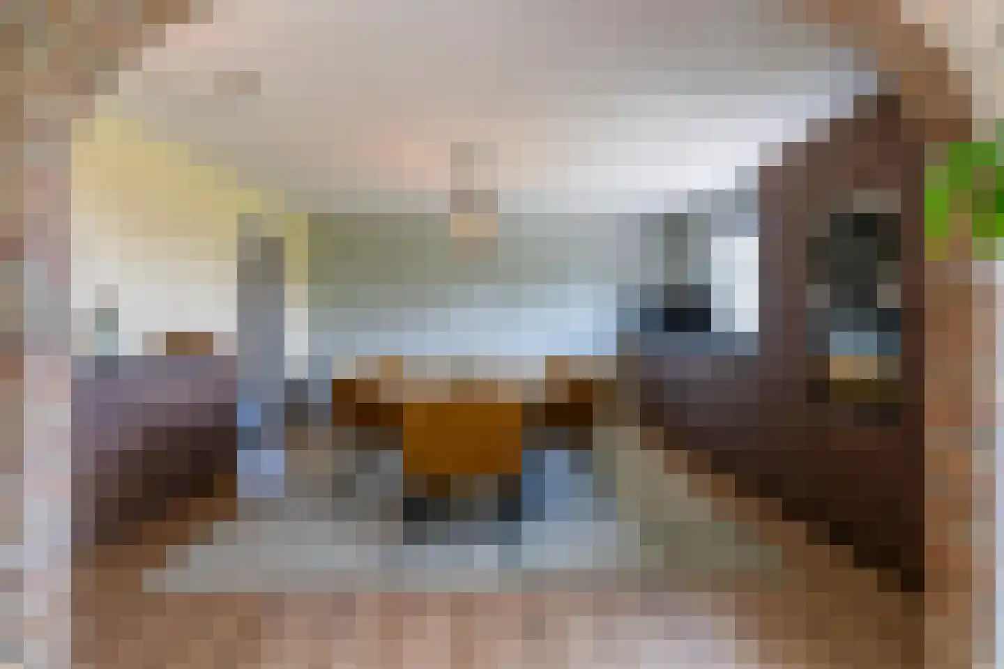 Osingahuzen 3 Heeg foto 3