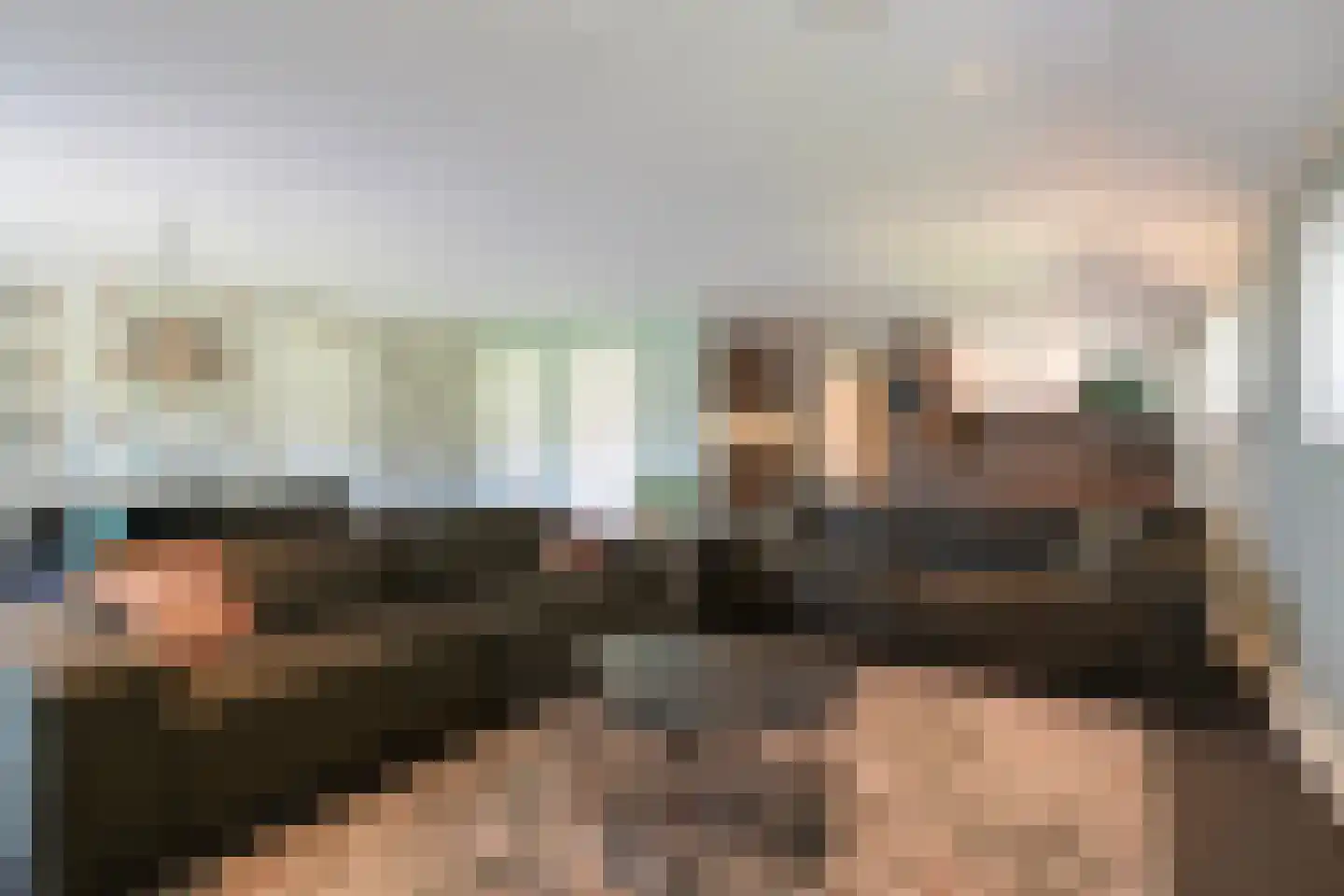 Osingahuzen 3 Heeg thumbnail 4