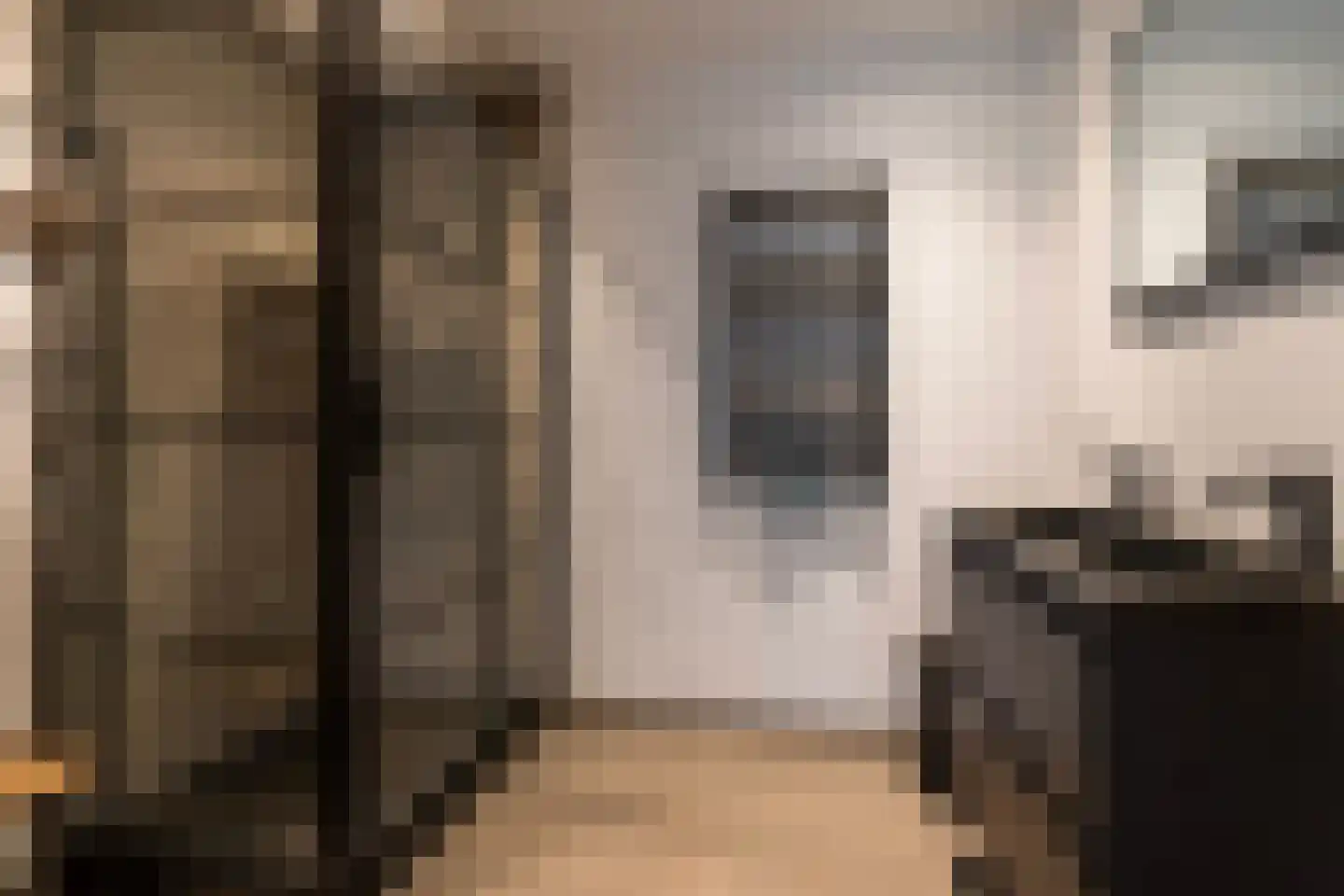 Osingahuzen 3 Heeg thumbnail 42
