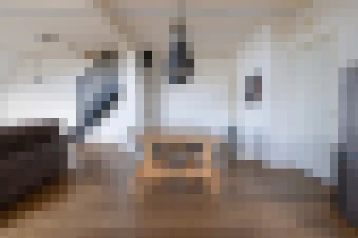Osingahuzen 3 Heeg thumbnail 48