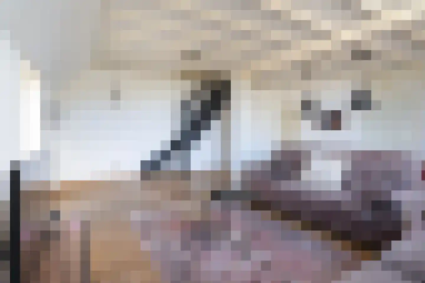 Osingahuzen 3 Heeg thumbnail 52