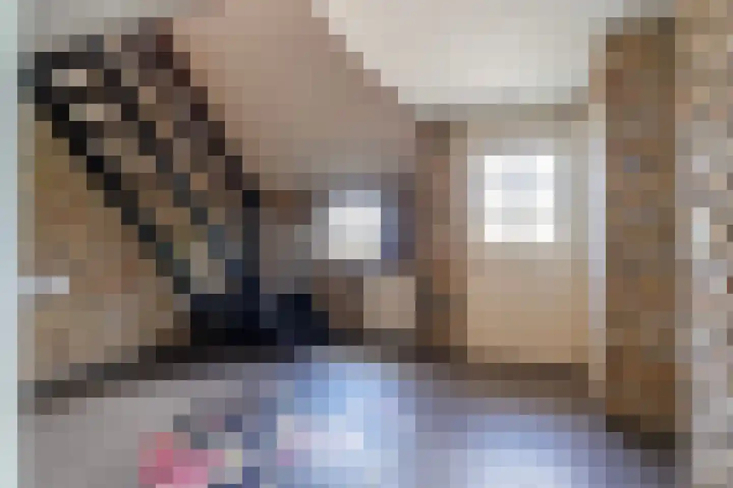 Osingahuzen 3 Heeg thumbnail 6