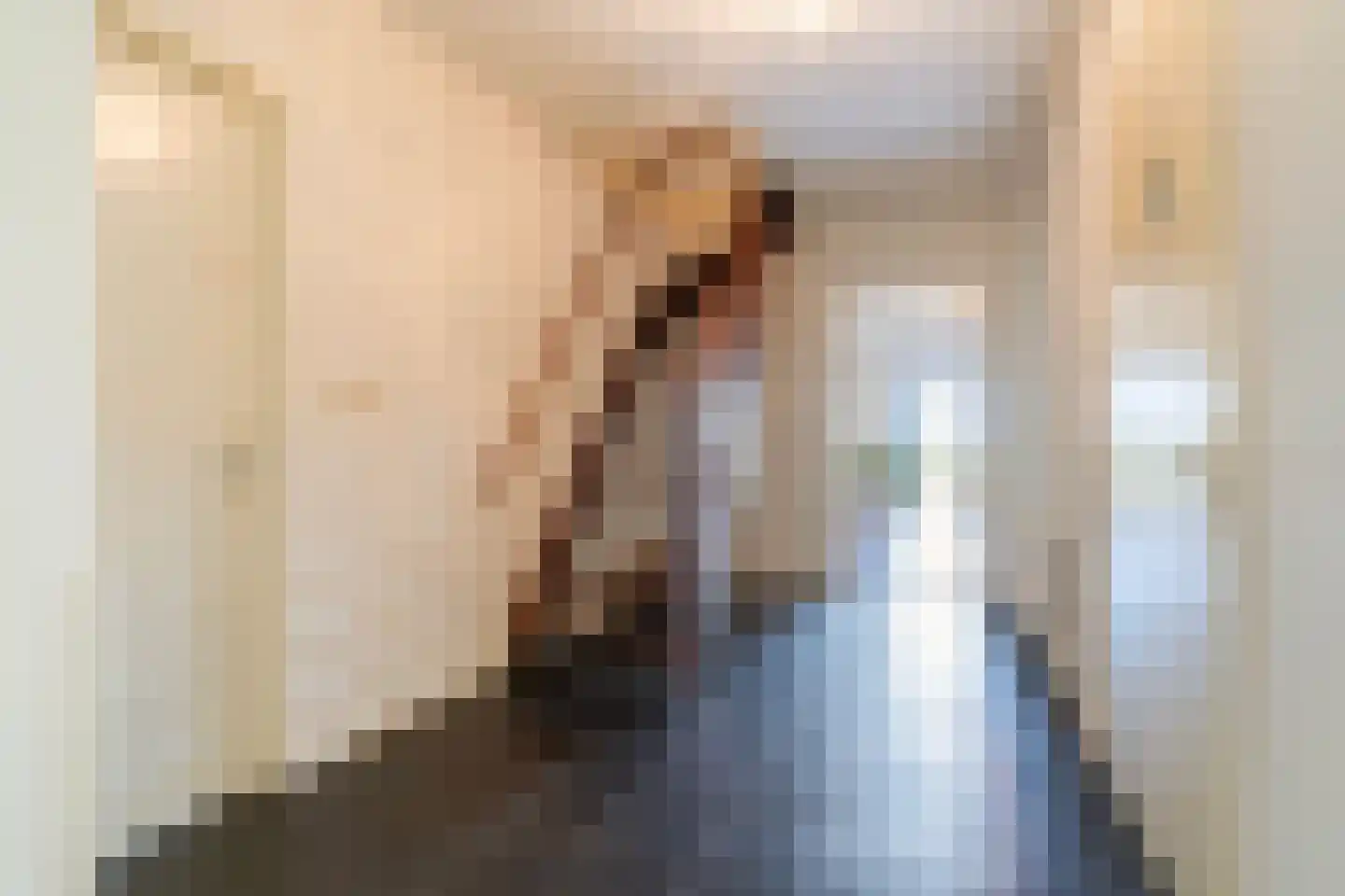 Osingahuzen 3 Heeg thumbnail 64