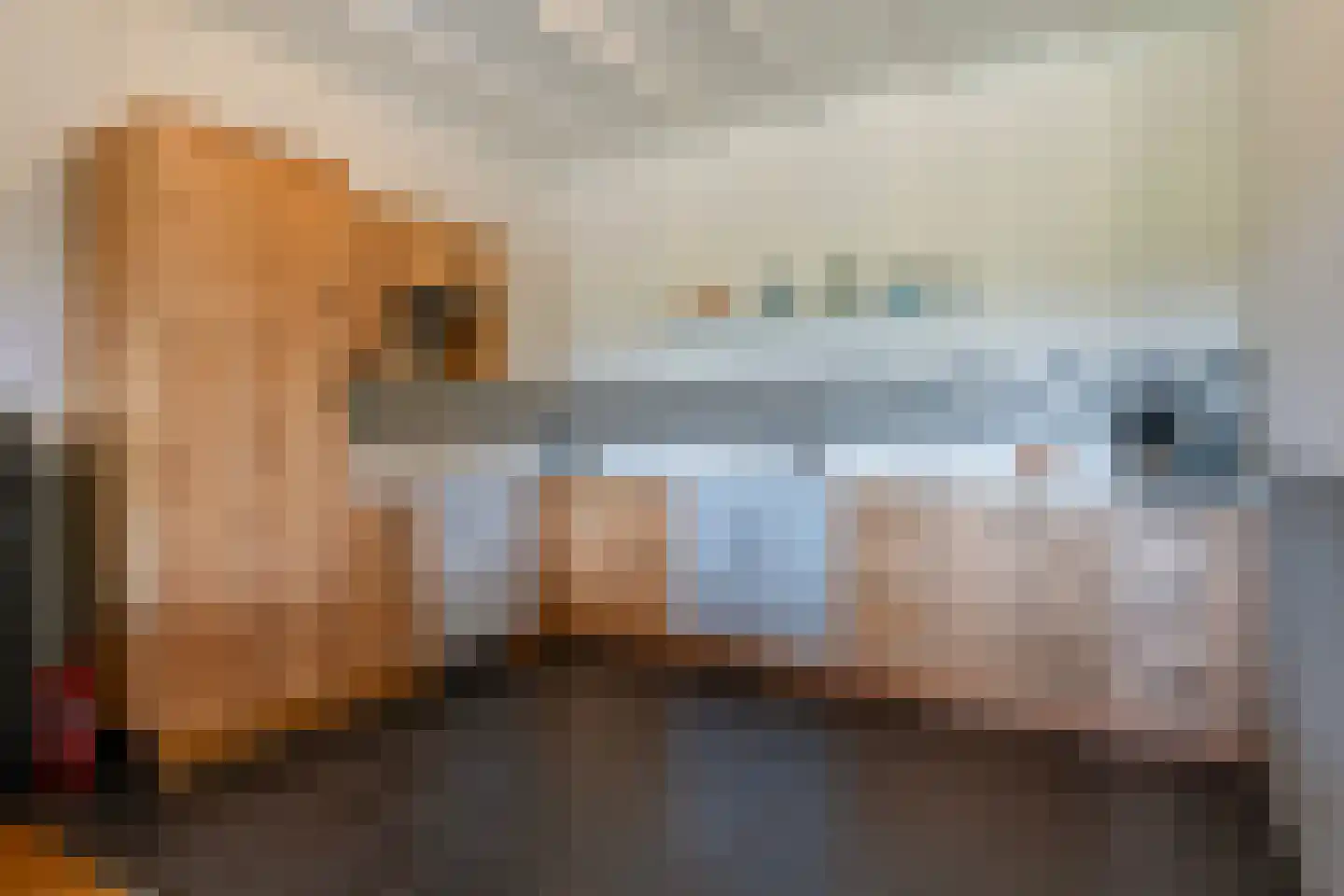 Osingahuzen 3 Heeg thumbnail 68