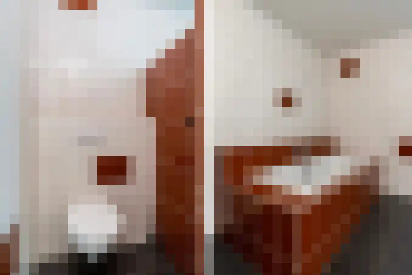 Osingahuzen 3 Heeg thumbnail 78