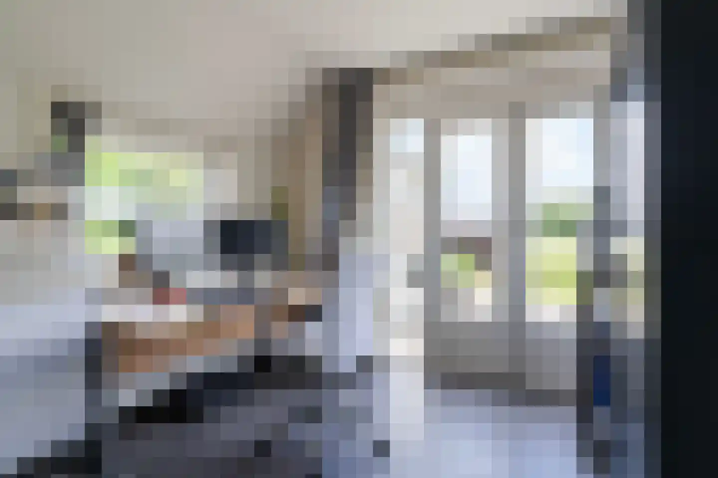 Osingahuzen 3 Heeg thumbnail 8