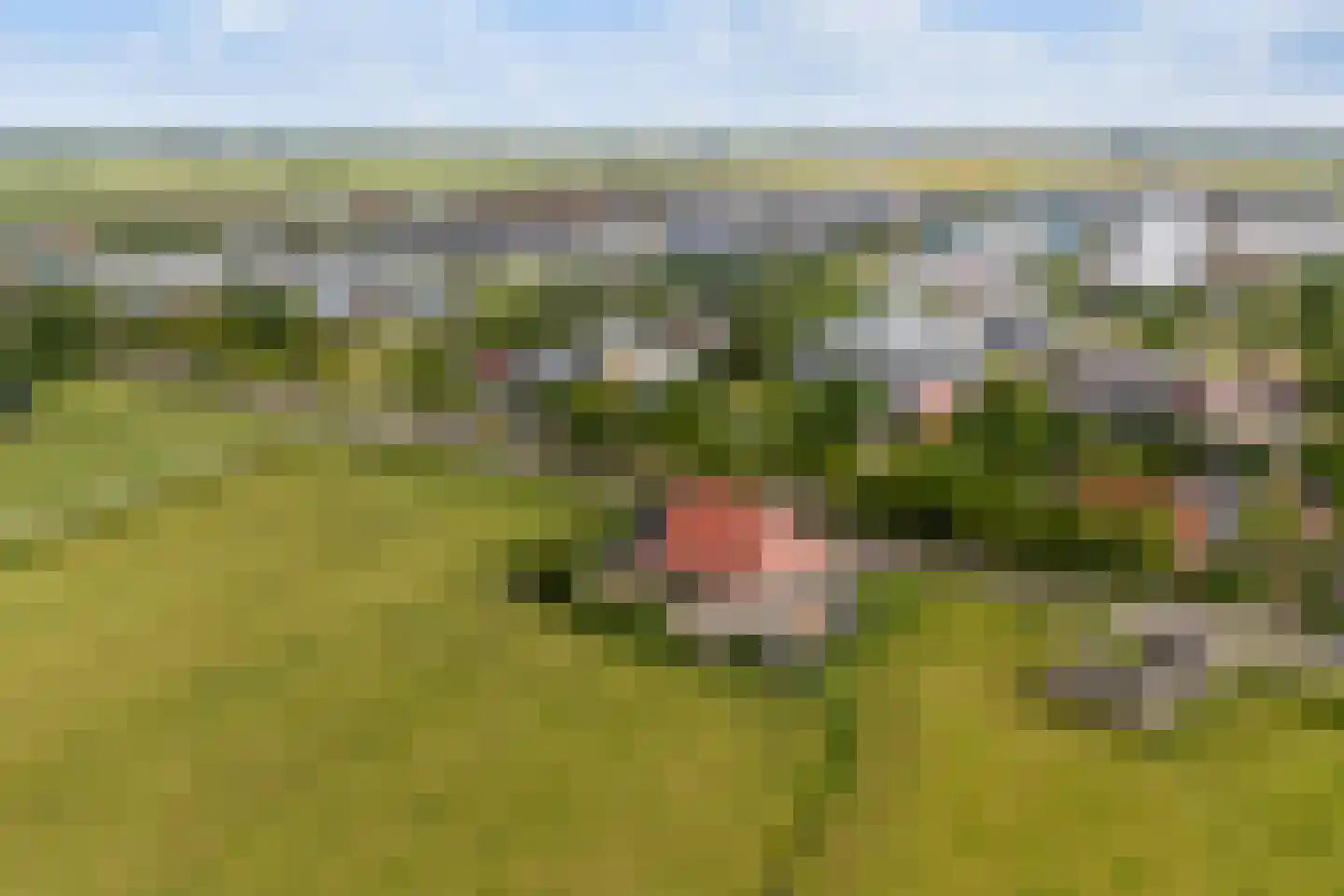 Osingahuzen 3 Heeg thumbnail 92
