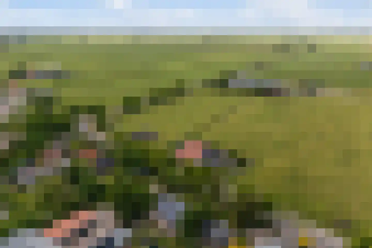 Osingahuzen 3 Heeg thumbnail 95
