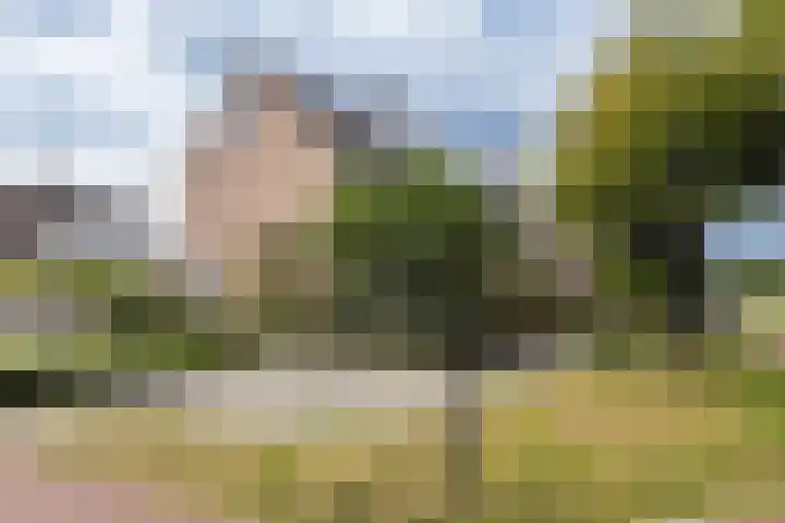Osingastate 53 Leeuwarden thumbnail 38