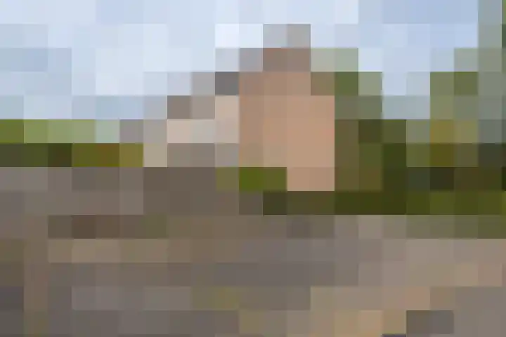 Osingastate 53 Leeuwarden thumbnail 39