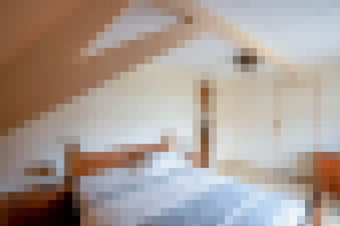 Osingastraat 48 Franeker thumbnail 23