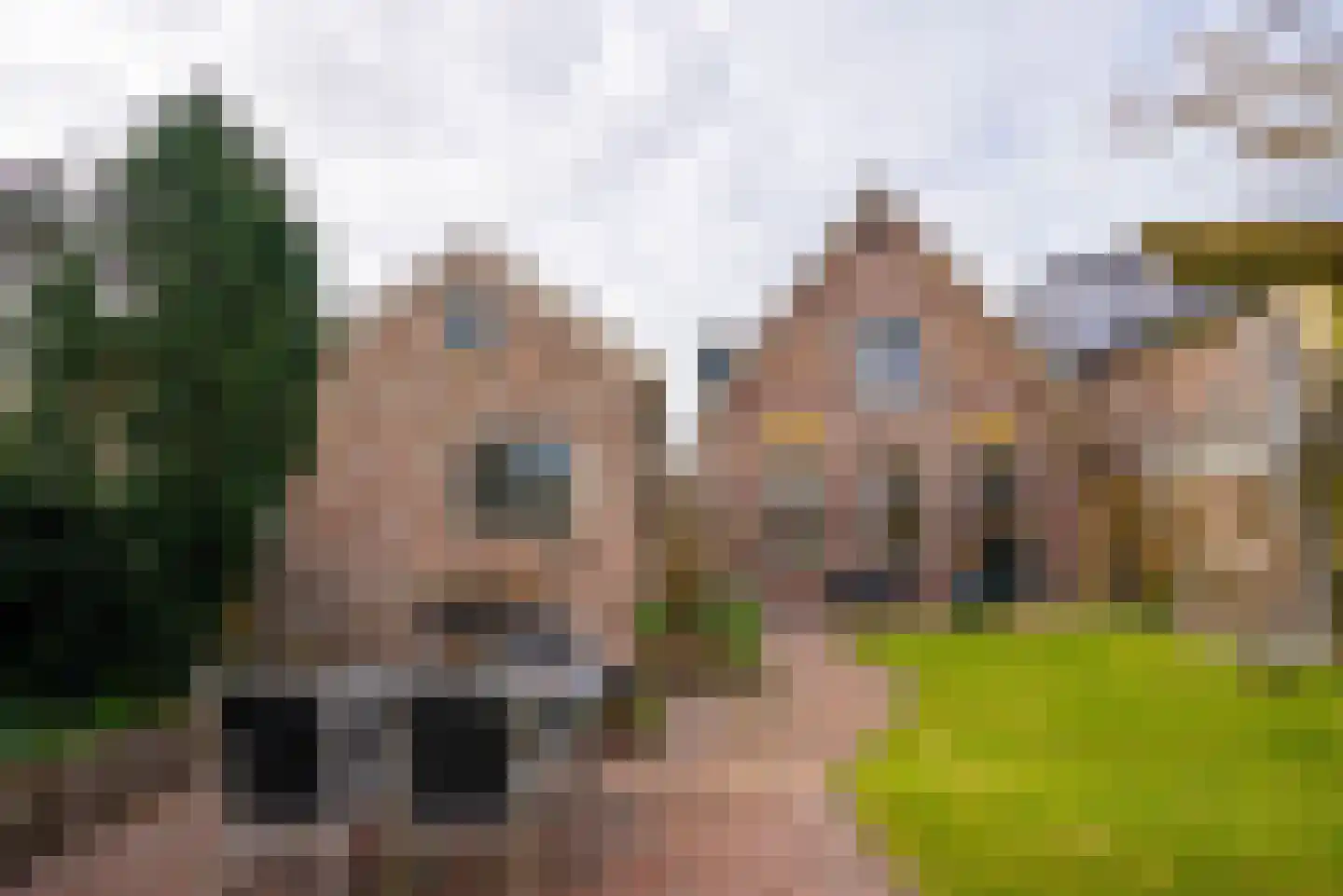 Osingastraat 48 Franeker thumbnail 28