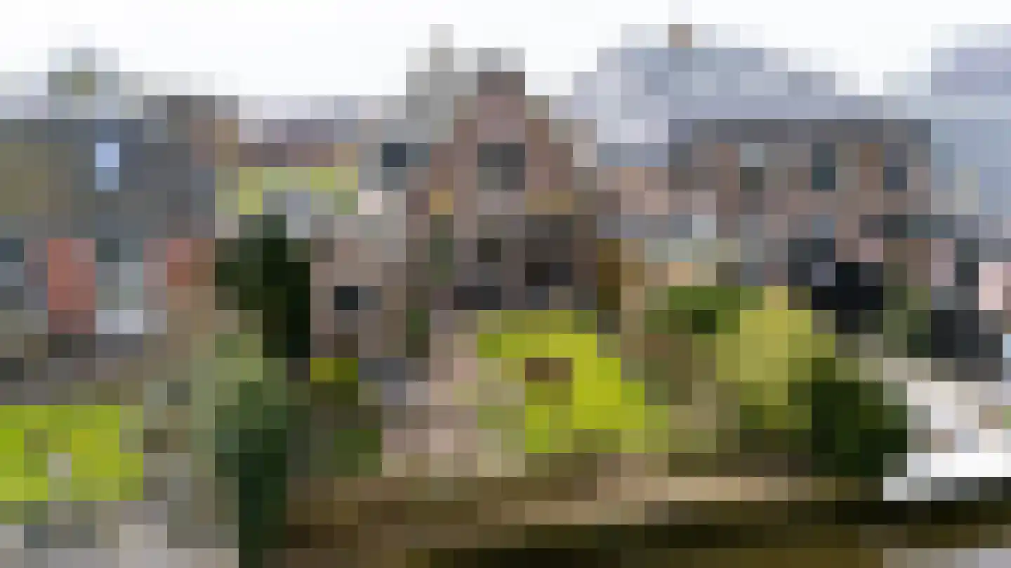 Osingastraat 48 Franeker thumbnail 5