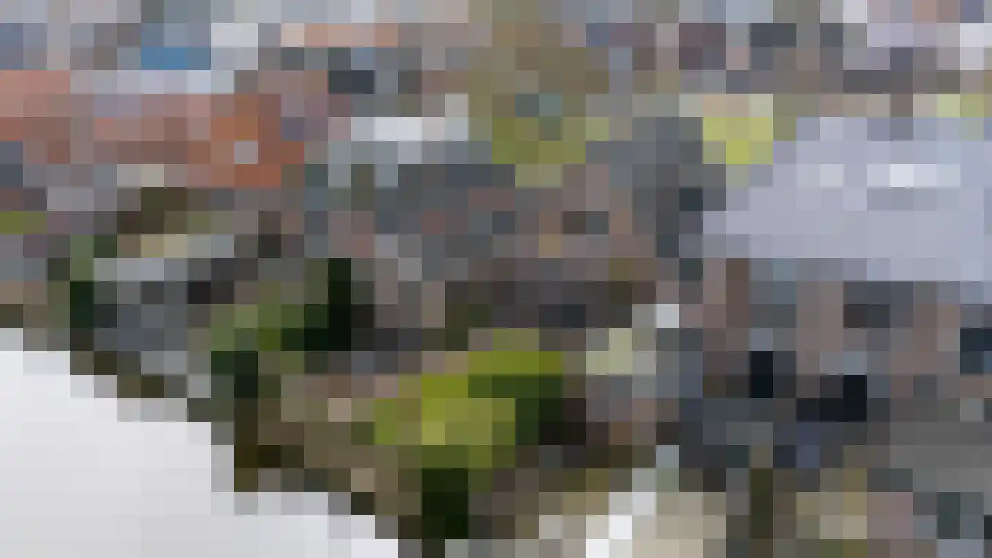 Osingastraat 48 Franeker thumbnail 6