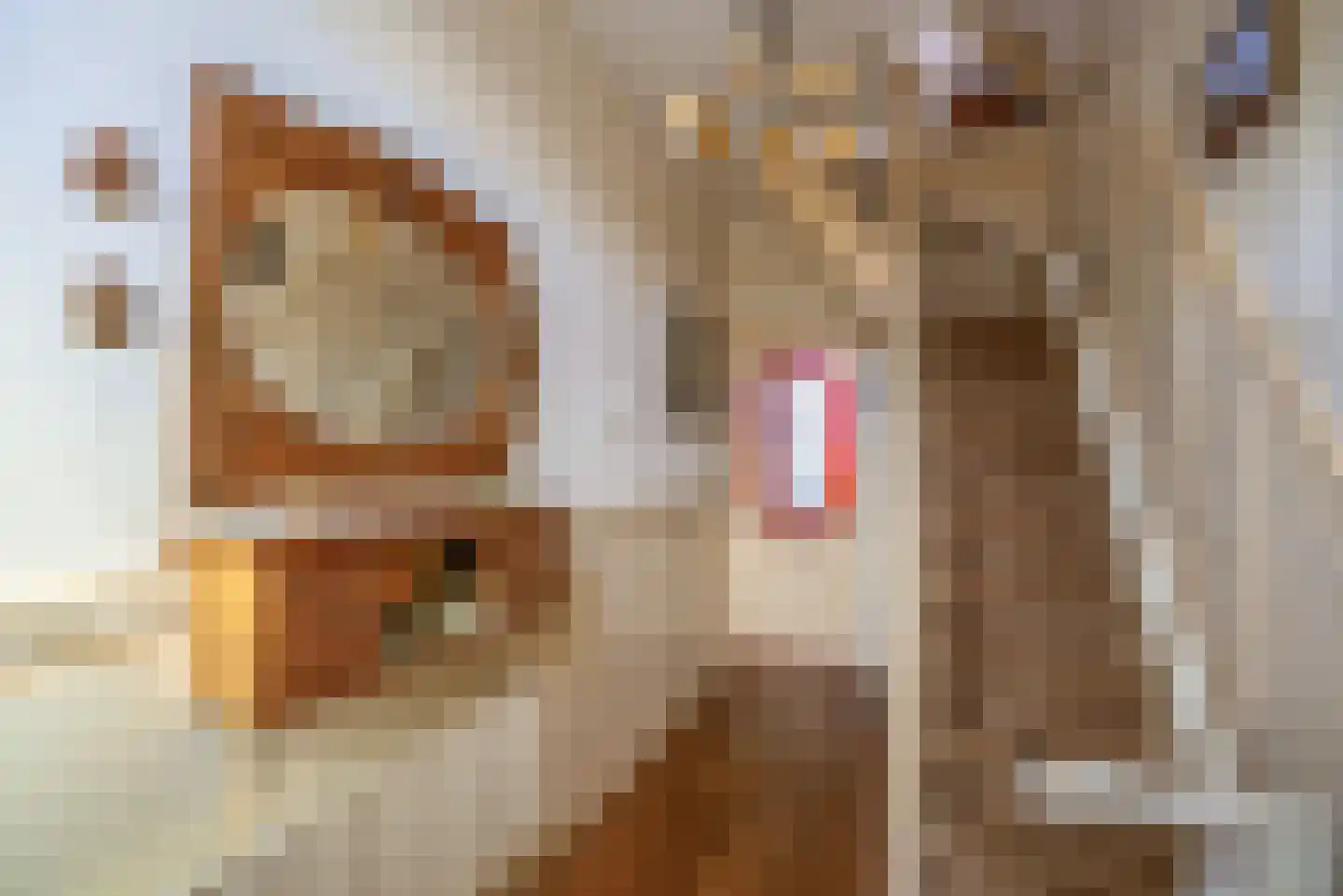 Osingastraat 48 Franeker thumbnail 8