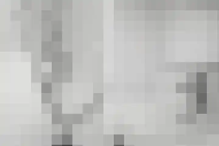 Osirispad 111 Almere thumbnail 11