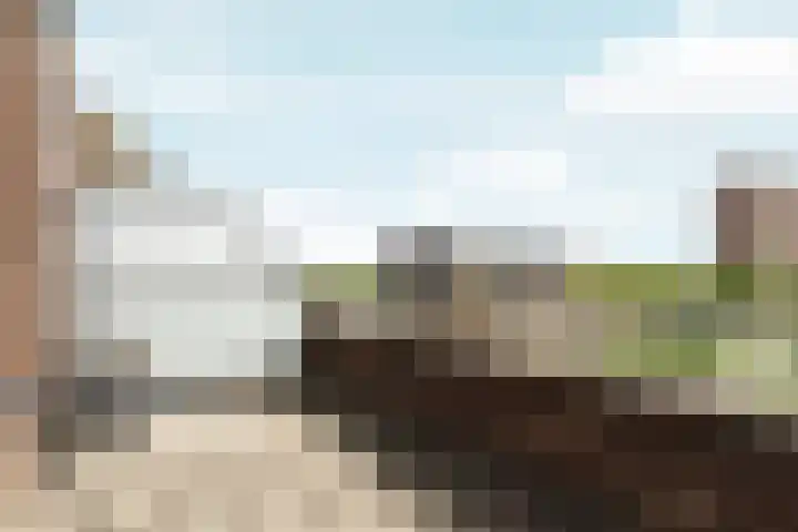 Osirispad 111 Almere thumbnail 24