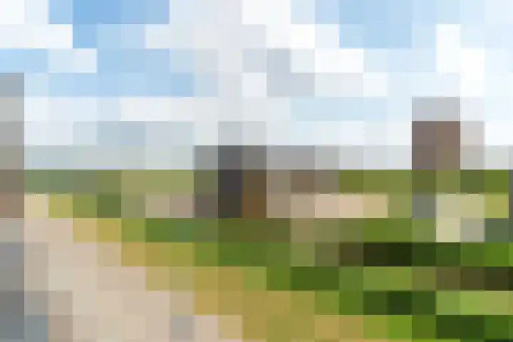 Osirispad 111 Almere thumbnail 26