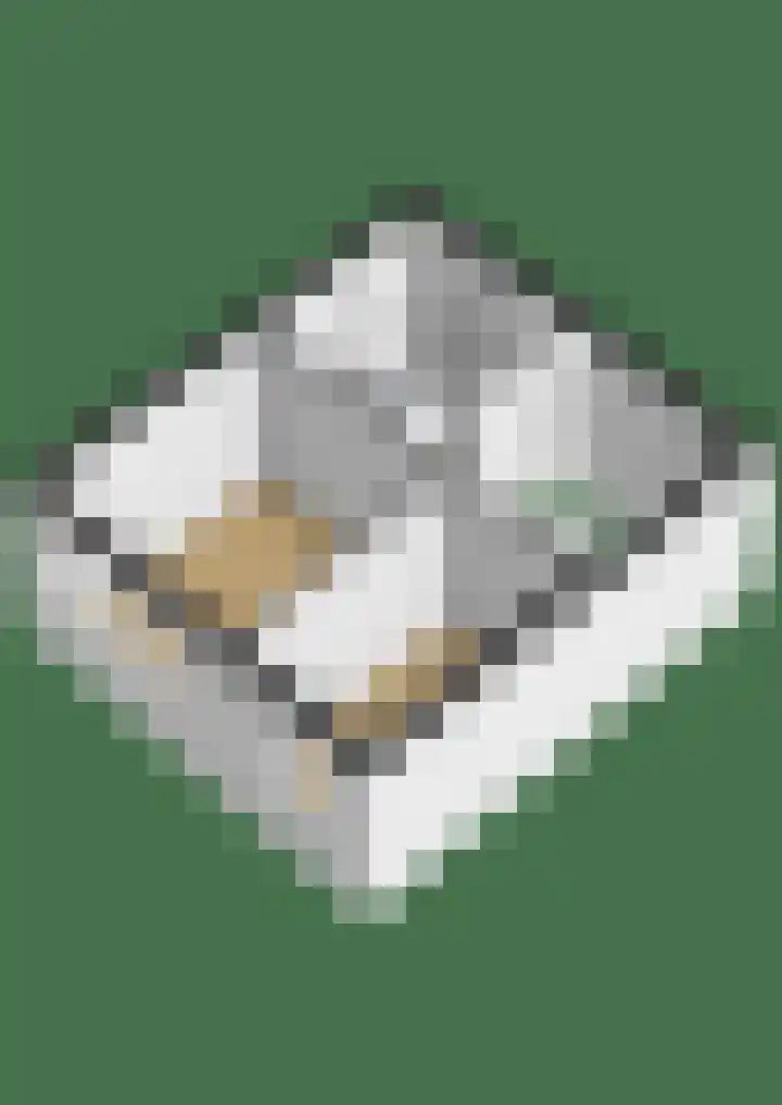 Osirispad 111 Almere thumbnail 35