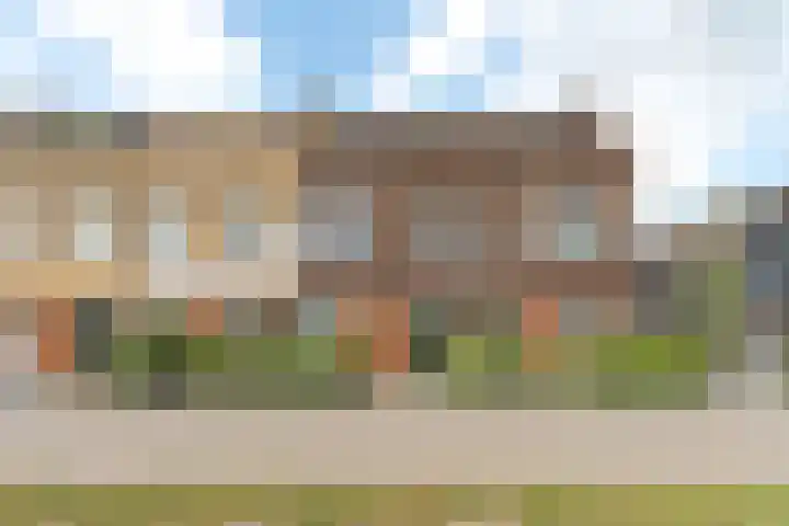 Osirispad 111 Almere thumbnail 40