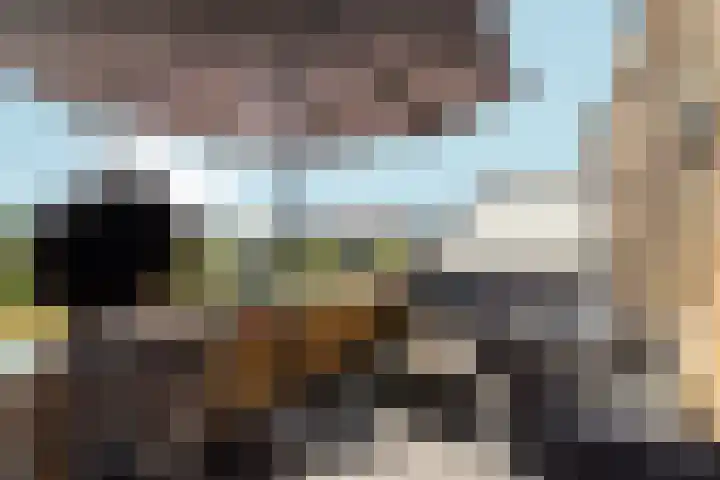 Osirispad 43 Almere thumbnail 21