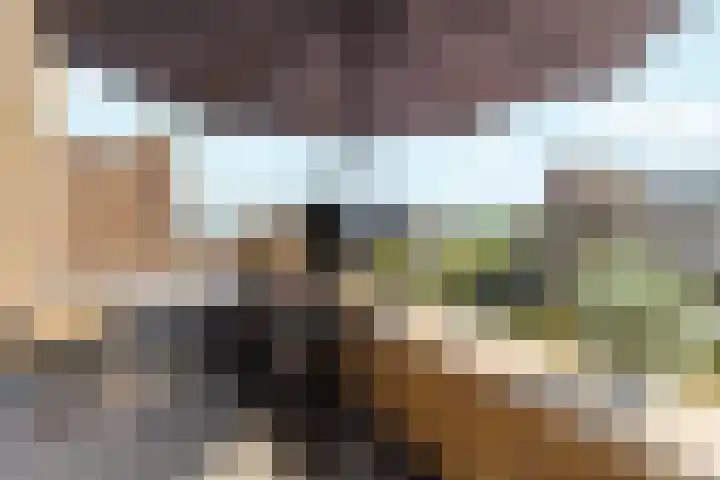 Osirispad 43 Almere thumbnail 22