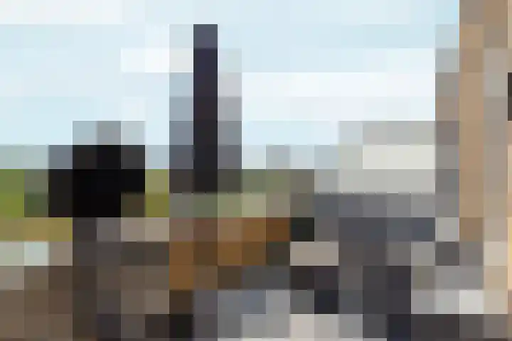 Osirispad 43 Almere thumbnail 23
