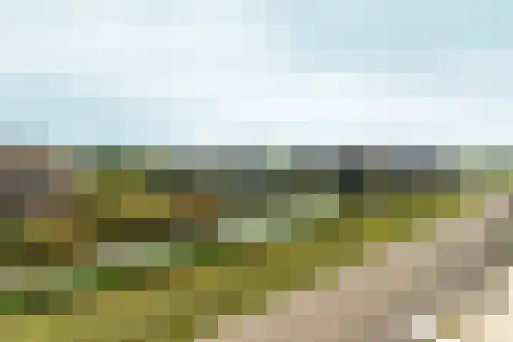 Osirispad 43 Almere thumbnail 25