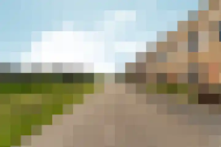 Osirispad 43 Almere thumbnail 27
