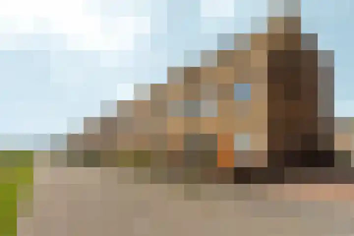 Osirispad 43 Almere thumbnail 29