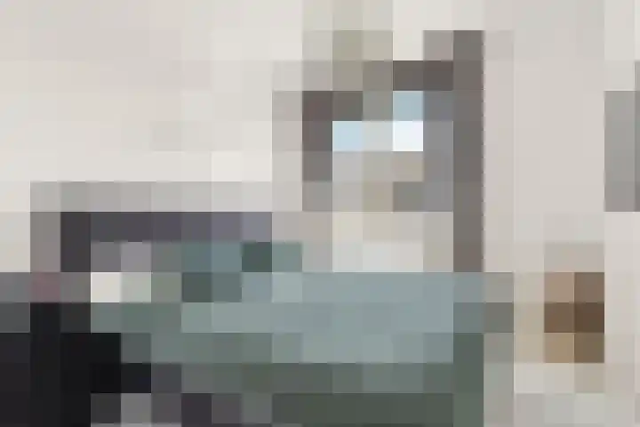 Osirispad 43 Almere thumbnail 6