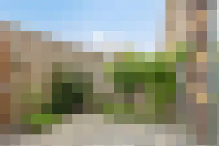 Osirispad 59 Almere thumbnail 10