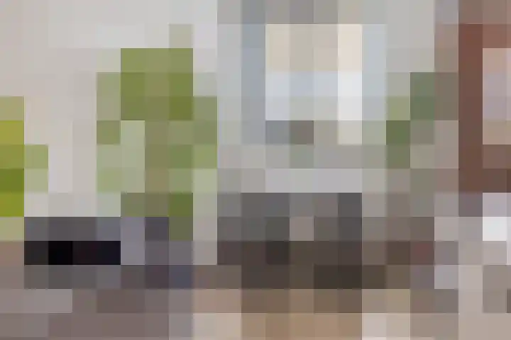 Osirispad 59 Almere thumbnail 11