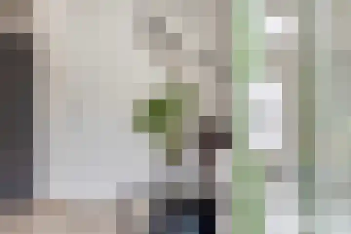 Osirispad 59 Almere thumbnail 13