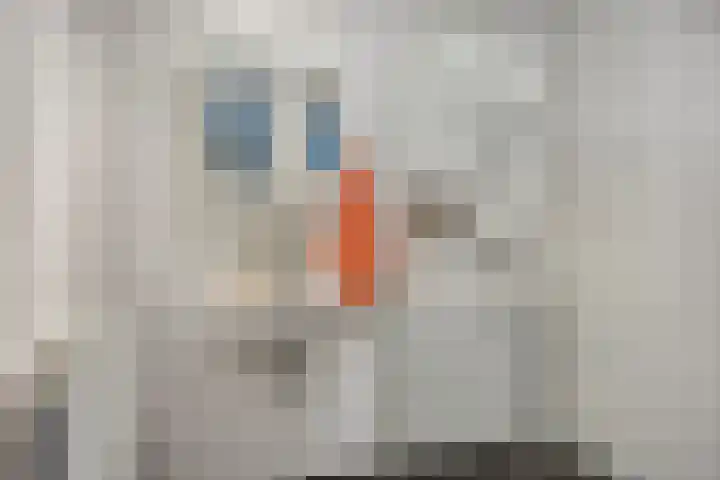 Osirispad 59 Almere thumbnail 16