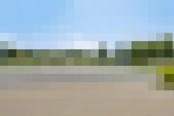 Osirispad 59 Almere thumbnail 22