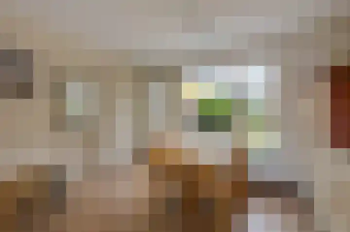 Osirispad 59 Almere thumbnail 5