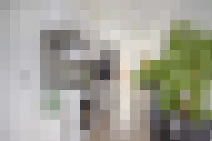 Osirispad 59 Almere thumbnail 6